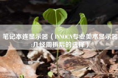 笔记本连显示器（INNOCN专业美术显示器:几经周折后的选择）