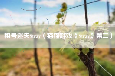 租号迷失Stray（猫猫游戏《Stray》第二）