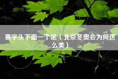 赛字头下面一个足（北京冬奥会为何这么美）