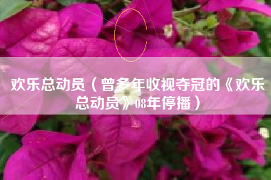 欢乐总动员（曾多年收视夺冠的《欢乐总动员》08年停播）