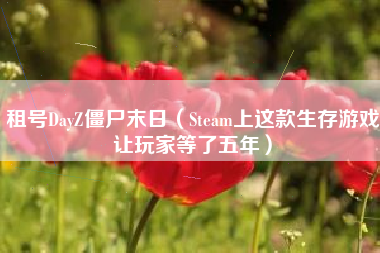 租号DayZ僵尸末日（Steam上这款生存游戏让玩家等了五年）