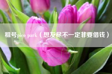 租号pico park（想友尽不一定非要借钱）