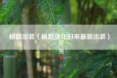 杨戬出装（杨戬强化归来最新出装）