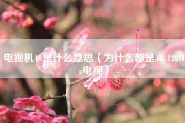 电视机4k是什么意思（为什么都是4K 120Hz电视）