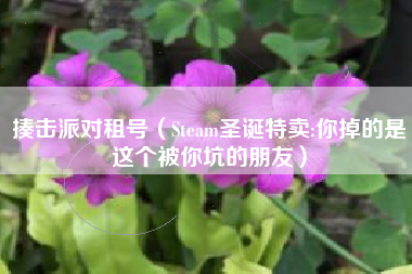 揍击派对租号（Steam圣诞特卖:你掉的是这个被你坑的朋友）