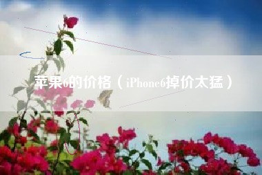 苹果6的价格（iPhone6掉价太猛）