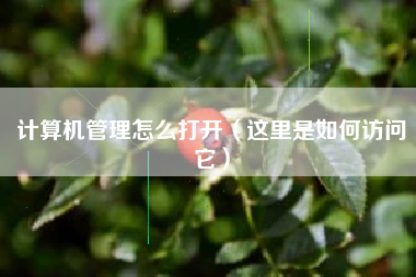 计算机管理怎么打开（这里是如何访问它）