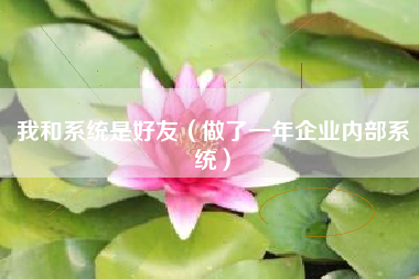 我和系统是好友（做了一年企业内部系统）