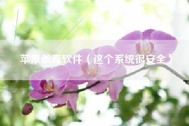 苹果杀毒软件（这个系统很安全）