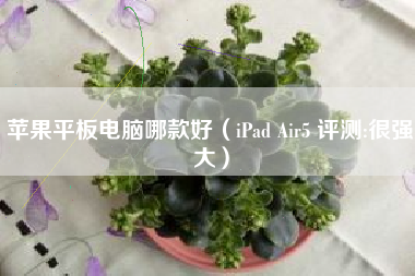 苹果平板电脑哪款好（iPad Air5 评测:很强大）