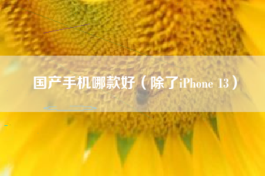 国产手机哪款好（除了iPhone 13）