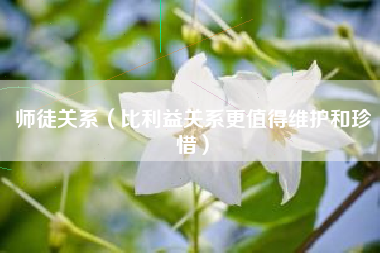 师徒关系（比利益关系更值得维护和珍惜）