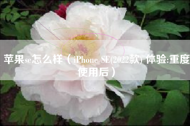 苹果se怎么样（iPhone SE(2022款) 体验:重度使用后）