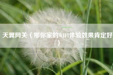 天翼网关（那你家的WIFI体验效果肯定好）