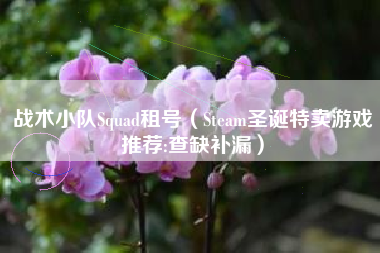 战术小队Squad租号（Steam圣诞特卖游戏推荐:查缺补漏）