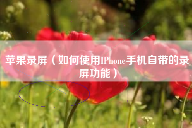 苹果录屏（如何使用IPhone手机自带的录屏功能）