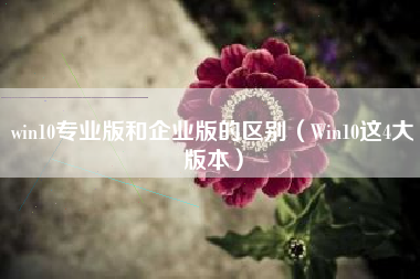 win10专业版和企业版的区别（Win10这4大版本）