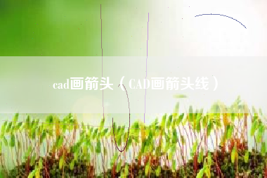 cad画箭头（CAD画箭头线）