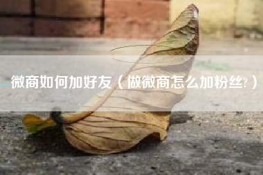 微商如何加好友（做微商怎么加粉丝?）