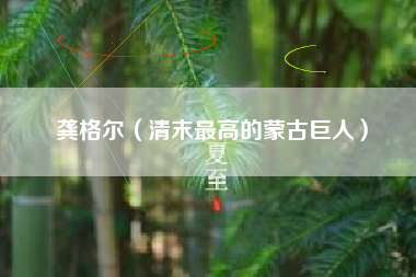 龚格尔（清末最高的蒙古巨人）