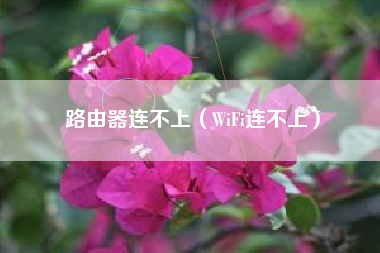 路由器连不上（WiFi连不上）