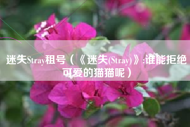 迷失Stray租号（《迷失(Stray)》:谁能拒绝可爱的猫猫呢）