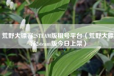 荒野大镖客2STEAM版租号平台（荒野大镖客2steam版今日上架）