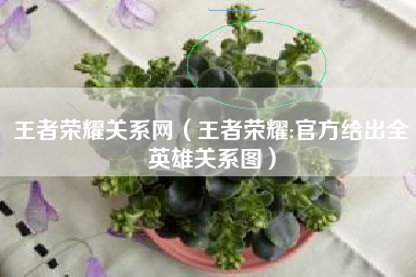 王者荣耀关系网（王者荣耀:官方给出全英雄关系图）