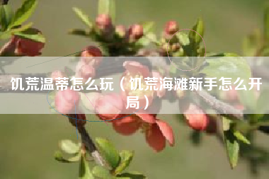 饥荒温蒂怎么玩（饥荒海滩新手怎么开局）