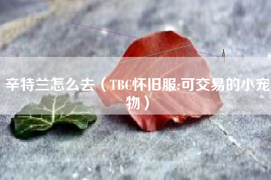 辛特兰怎么去（TBC怀旧服:可交易的小宠物）