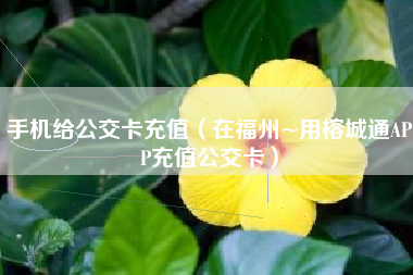 手机给公交卡充值（在福州~用榕城通APP充值公交卡）