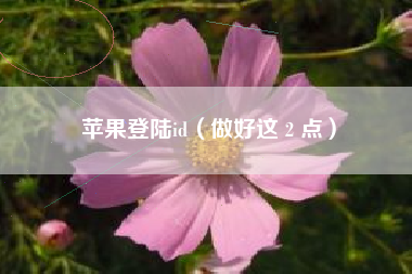 苹果登陆id（做好这 2 点）