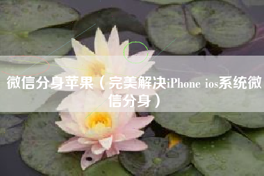 微信分身苹果（完美解决iPhone ios系统微信分身）