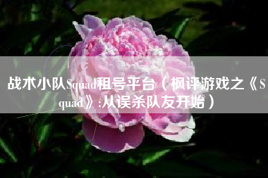 战术小队Squad租号平台（枫评游戏之《Squad》:从误杀队友开始）