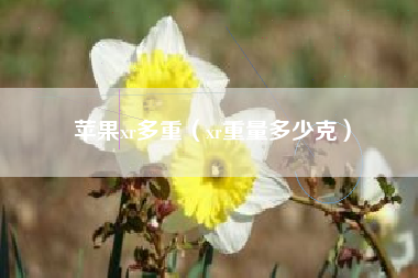 苹果xr多重（xr重量多少克）