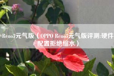 Reno3元气版（OPPO Reno3元气版评测:硬件配置拒绝缩水）