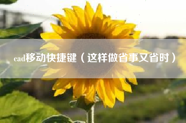 cad移动快捷键（这样做省事又省时）