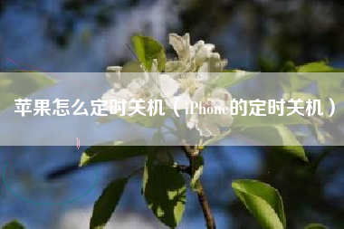 苹果怎么定时关机（iPhone的定时关机）