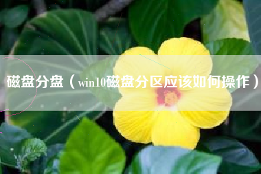 磁盘分盘（win10磁盘分区应该如何操作）