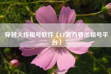 穿越火线租号软件（CF官方要出租号平台）