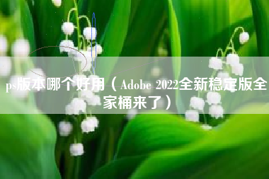 ps版本哪个好用（Adobe 2022全新稳定版全家桶来了）