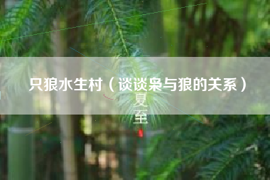 只狼水生村（谈谈枭与狼的关系）