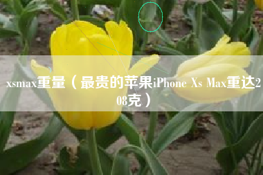 xsmax重量（最贵的苹果iPhone Xs Max重达208克）