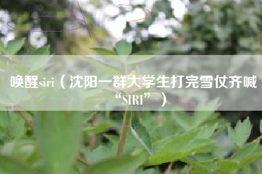 唤醒siri（沈阳一群大学生打完雪仗齐喊“SIRI”）