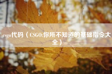 csgo代码（CSGO:你所不知道的基础指令大全）