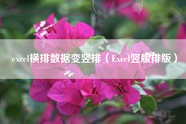 excel横排数据变竖排（Excel竖版排版）