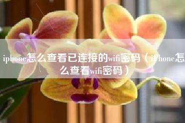 iphone怎么查看已连接的wifi密码（iPhone怎么查看wifi密码）