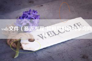 vsdx文件（最近发现7款相见恨晚的学习网站）