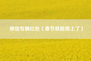 微信专属红包（春节就能用上了）