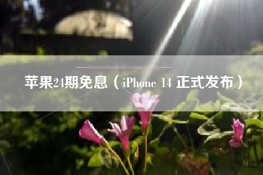 苹果24期免息（iPhone 14 正式发布）